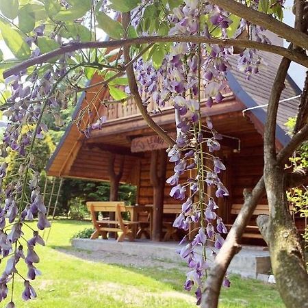 U Leona Villa Gorlice Exterior photo