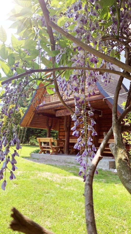 U Leona Villa Gorlice Exterior photo